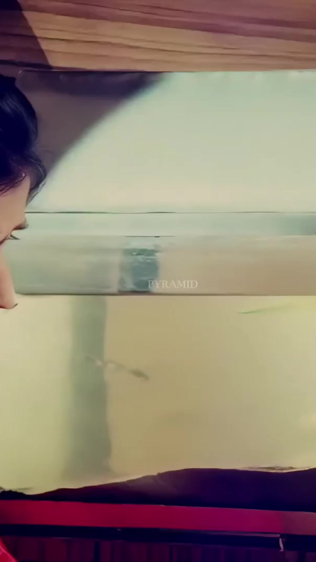@𝕾.𝕸.𝕽𝖆𝖏𝖆..🎶