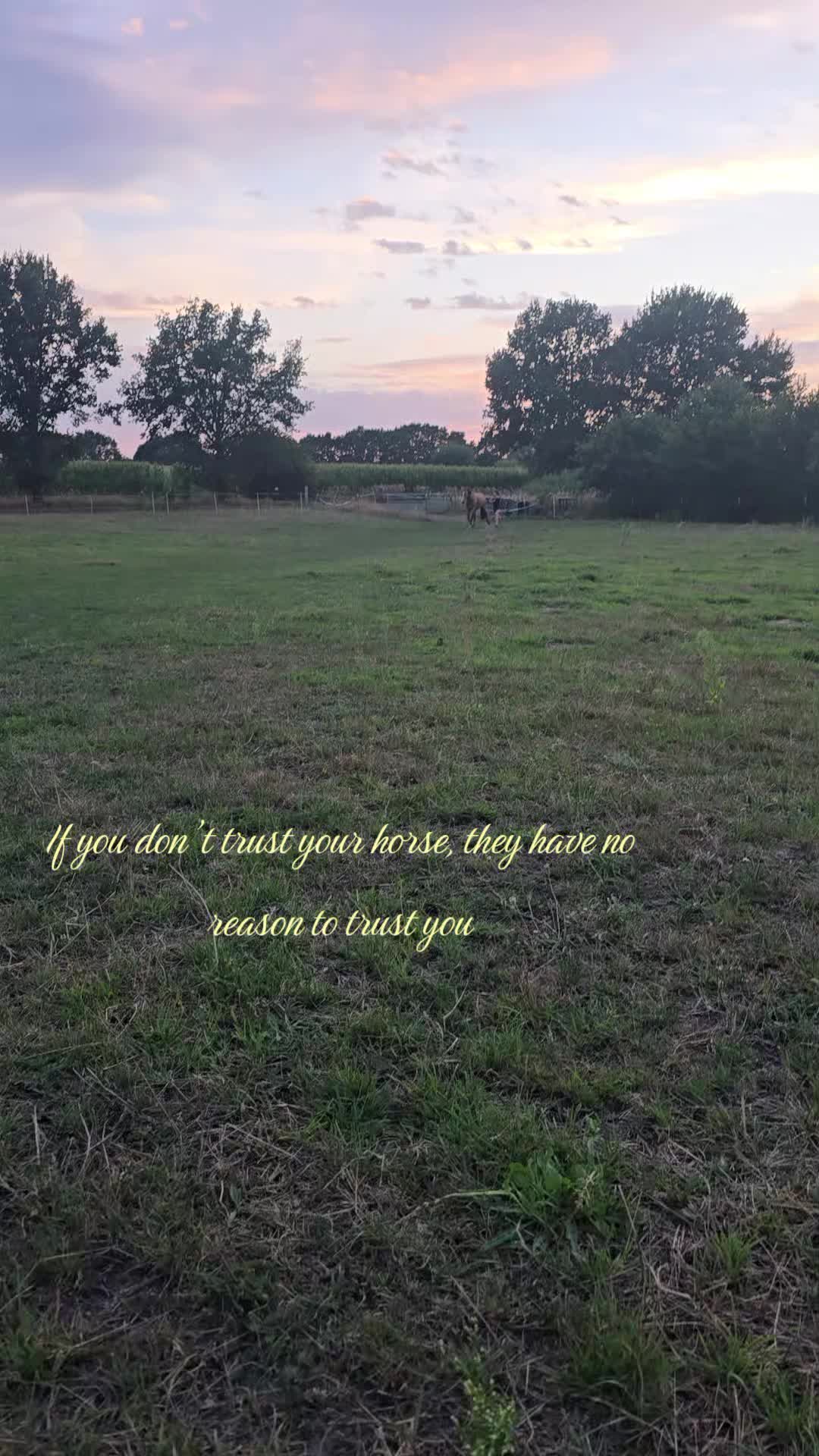 @𖹭❤️🩹𝐀&𝐑❤️🩹𖹭