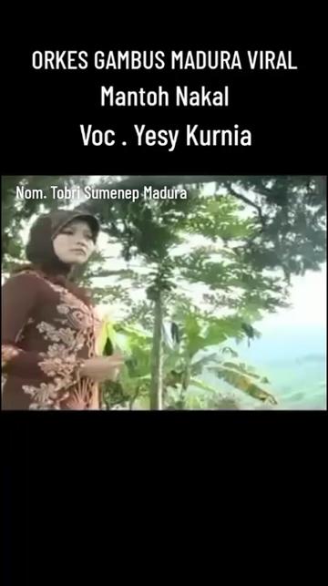 @MUSIK GAMBUS INDONESIA 🇮🇩