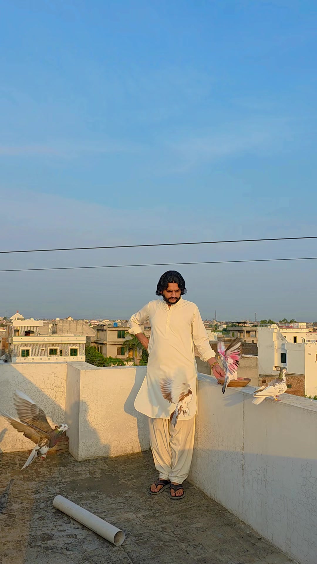 @jazib50