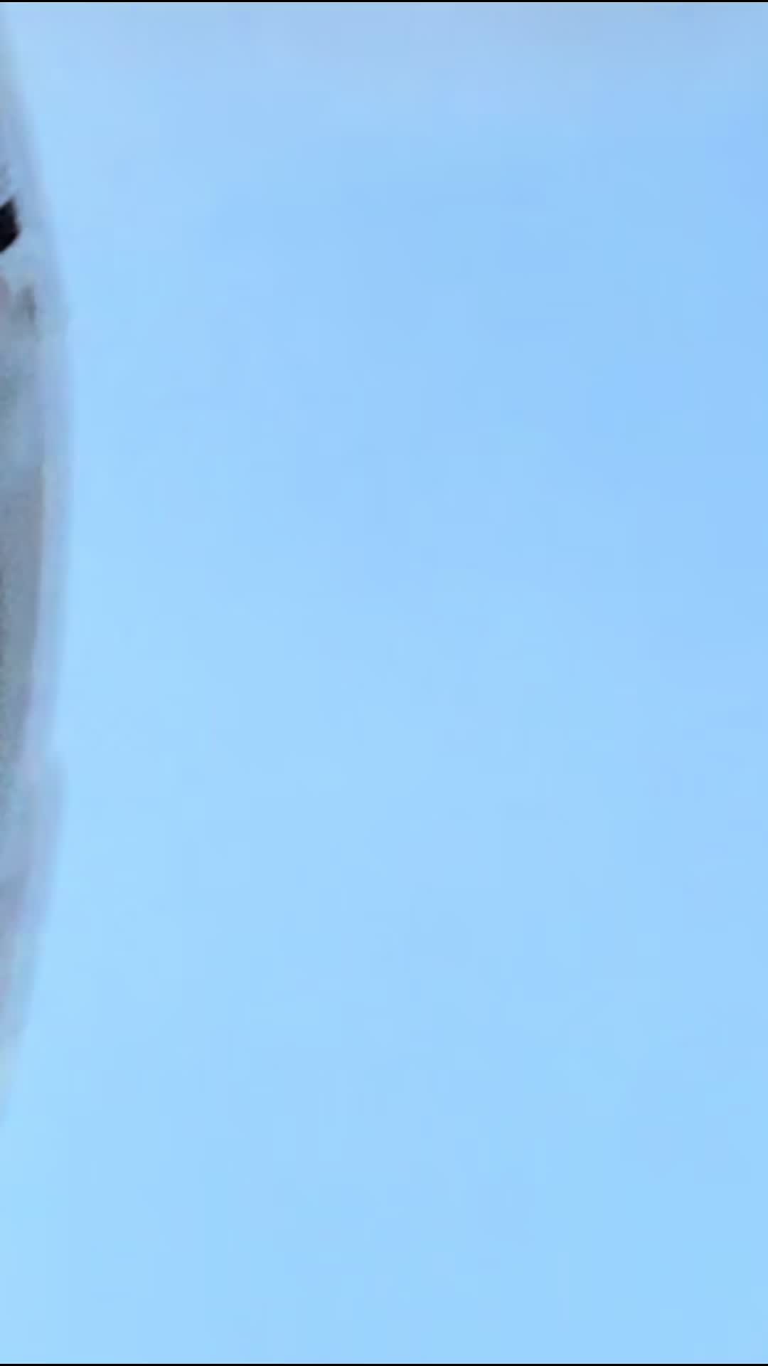@erpenis