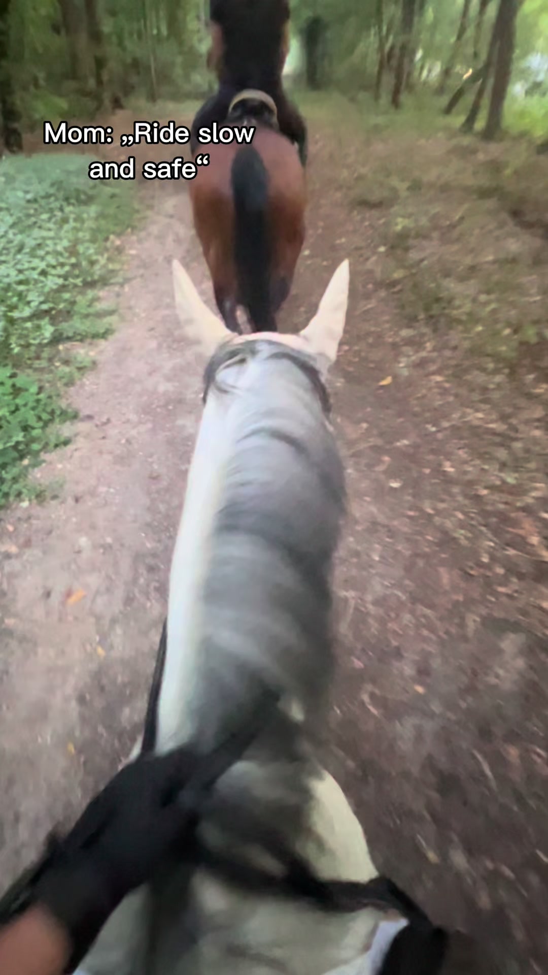 @Romy🐕🐎
