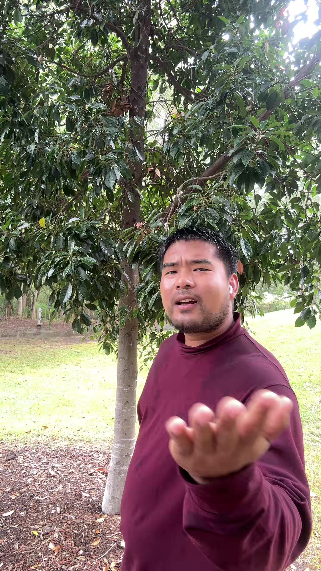 @Tshering Tee Dorjiks
