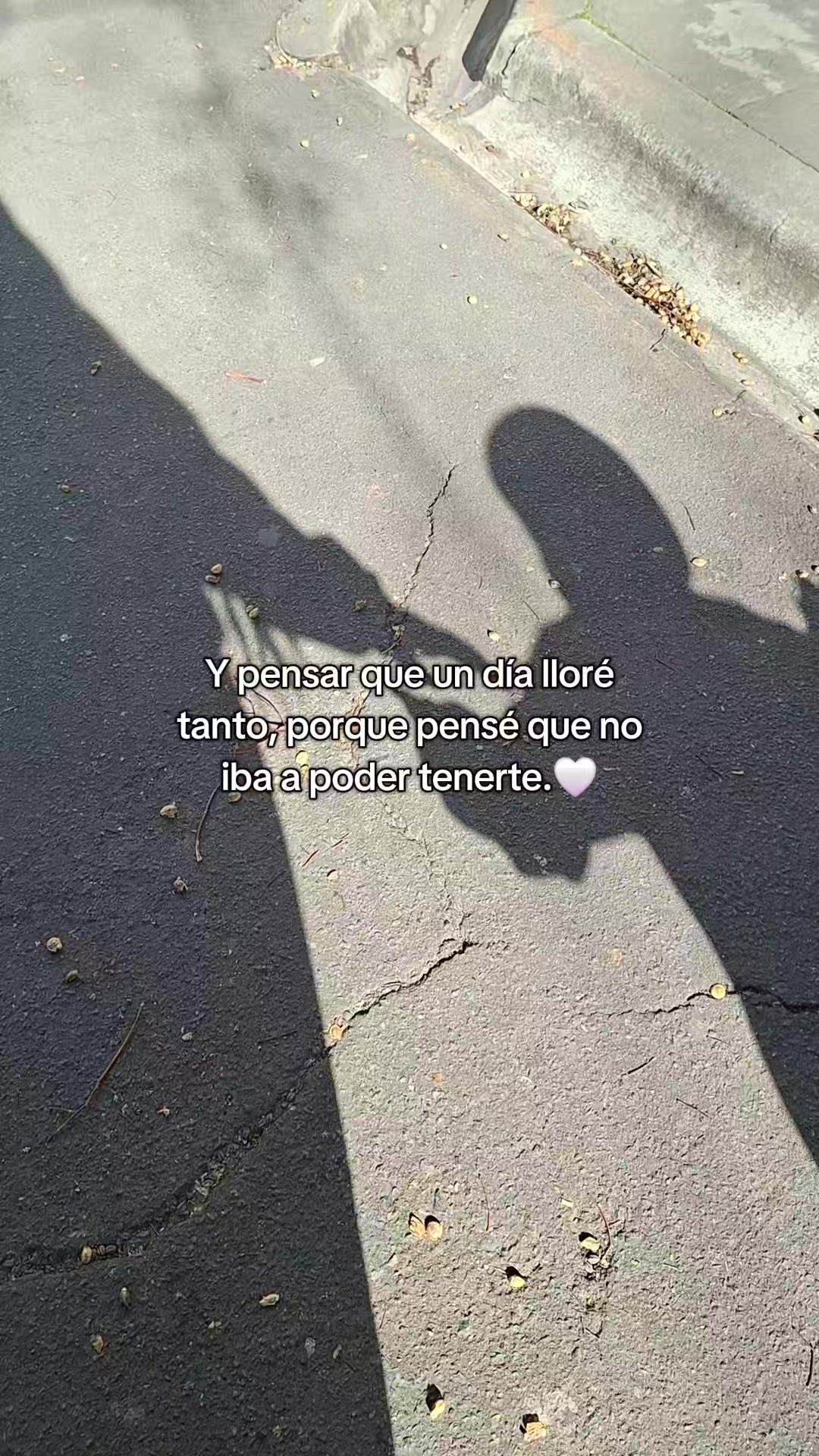 @Meil Margaret