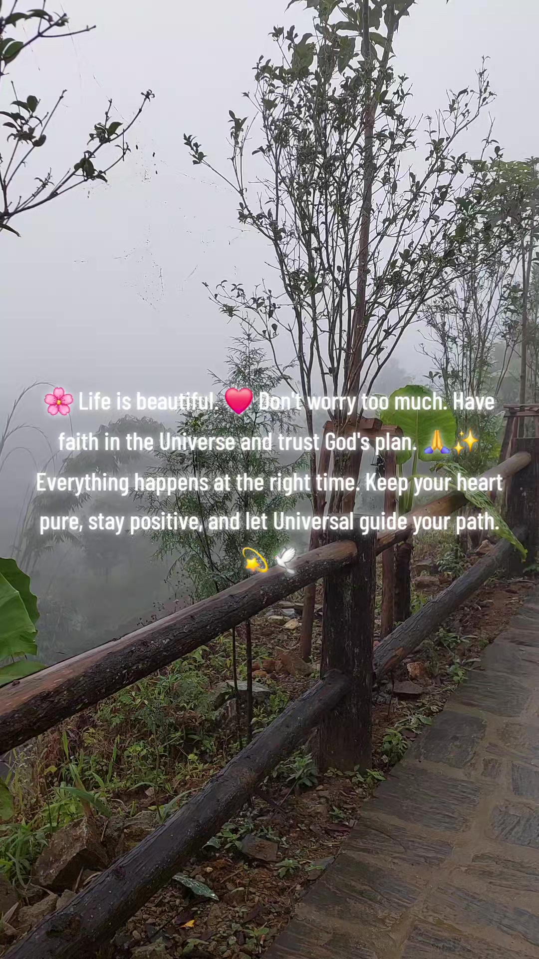 @Senorita Senorita ❤️