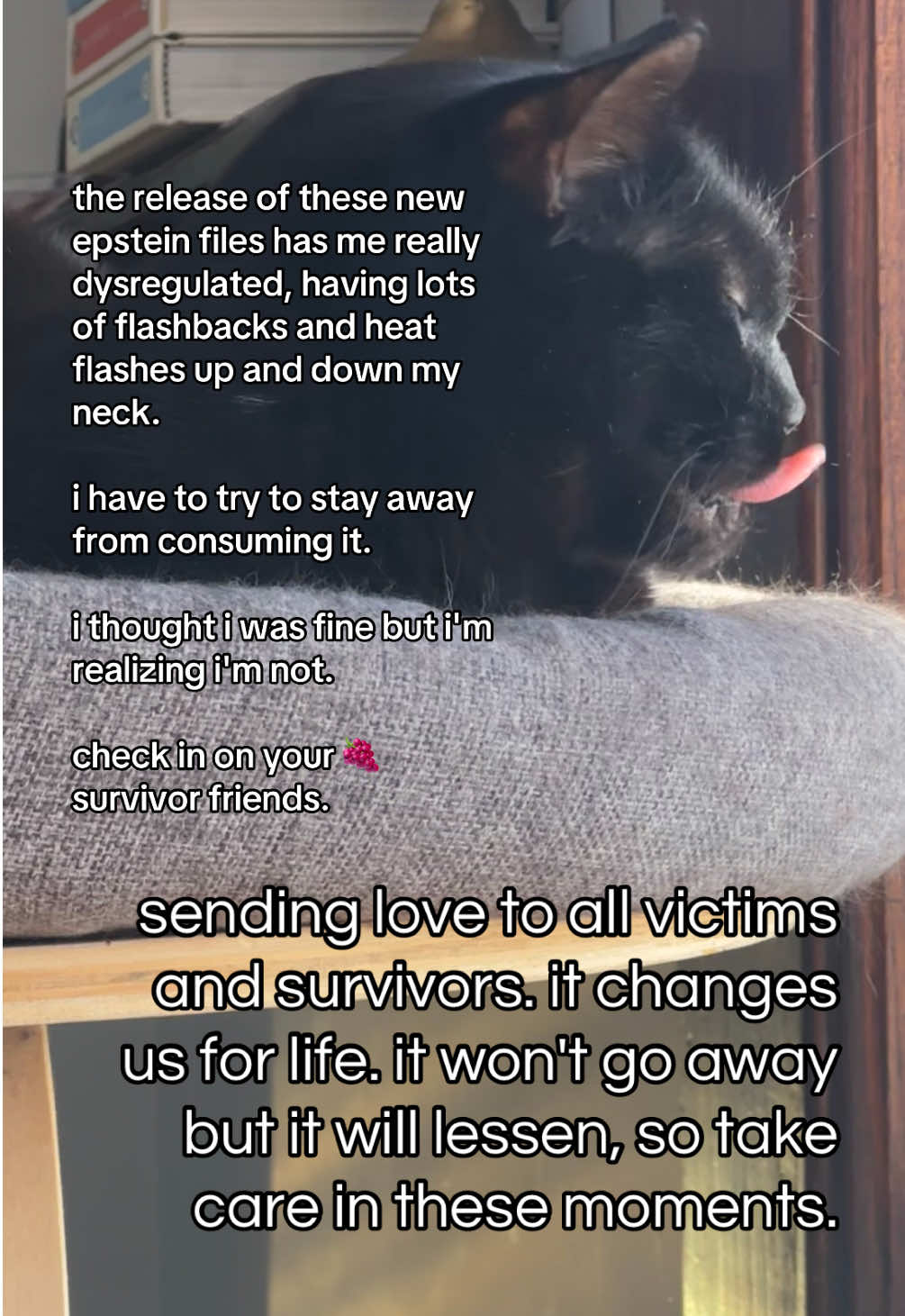 @tovahshome