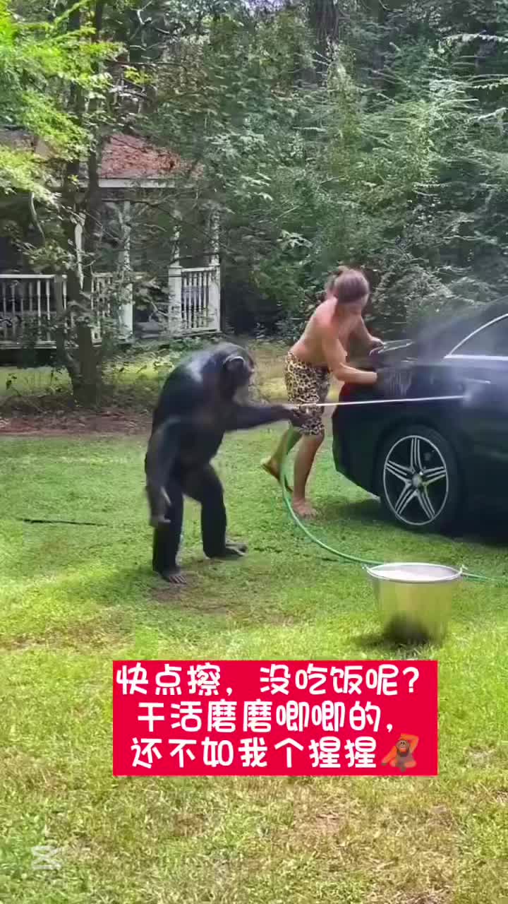 @liujiangyu