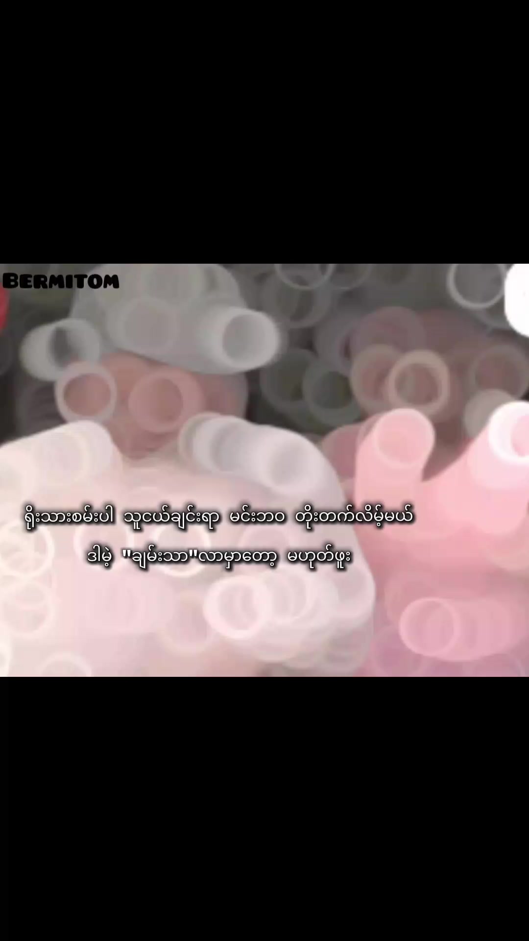 @BERMITOM