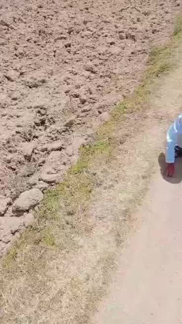 @شہباز پردیسی