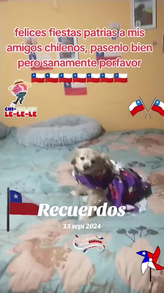 @Canelita@la bonita