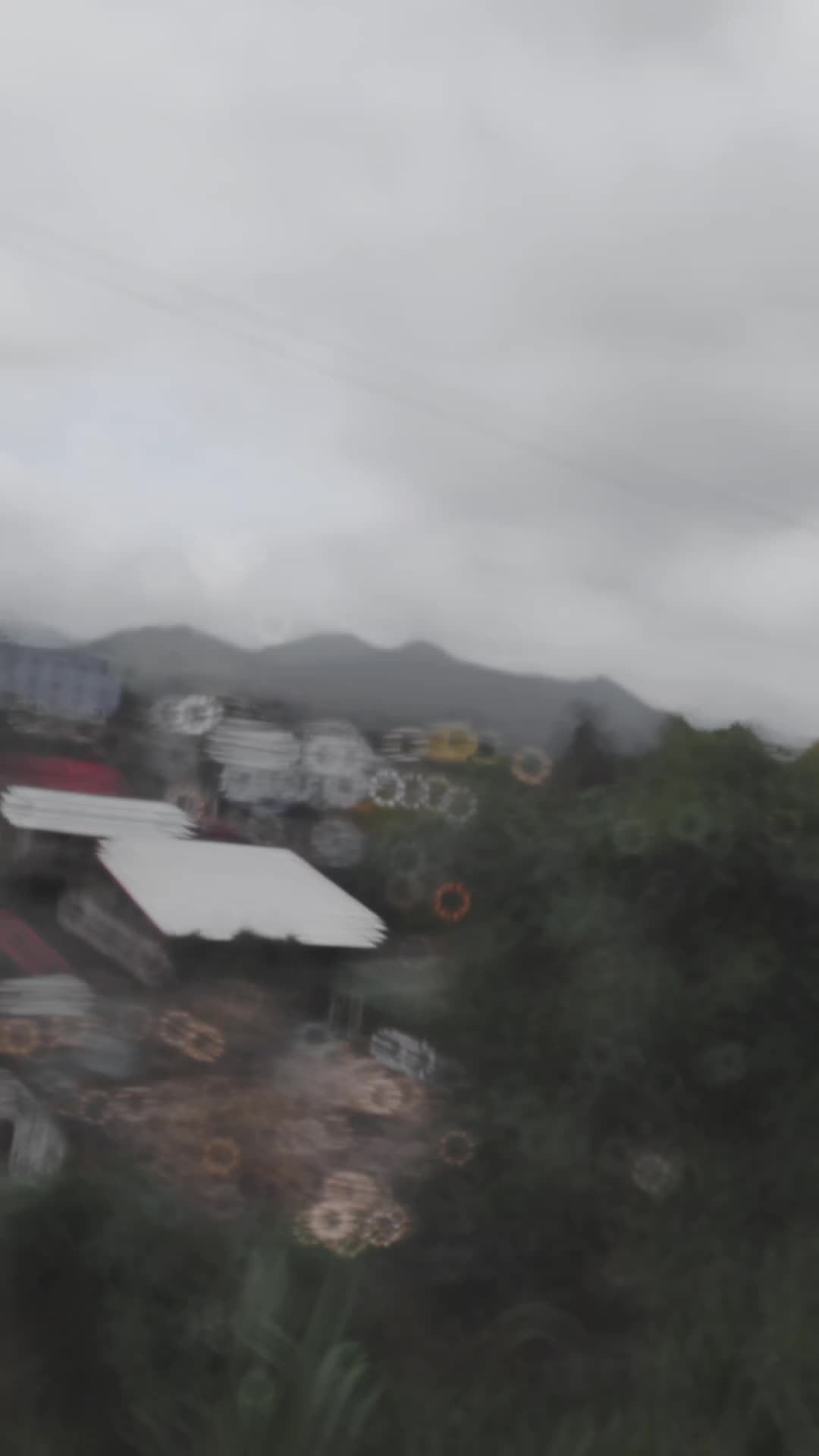 @☠️ ★彡[ᴘᴀɴᴅᴀ ʙᴏʏ]彡★ ☠️ 🇱🇰🇲🇺