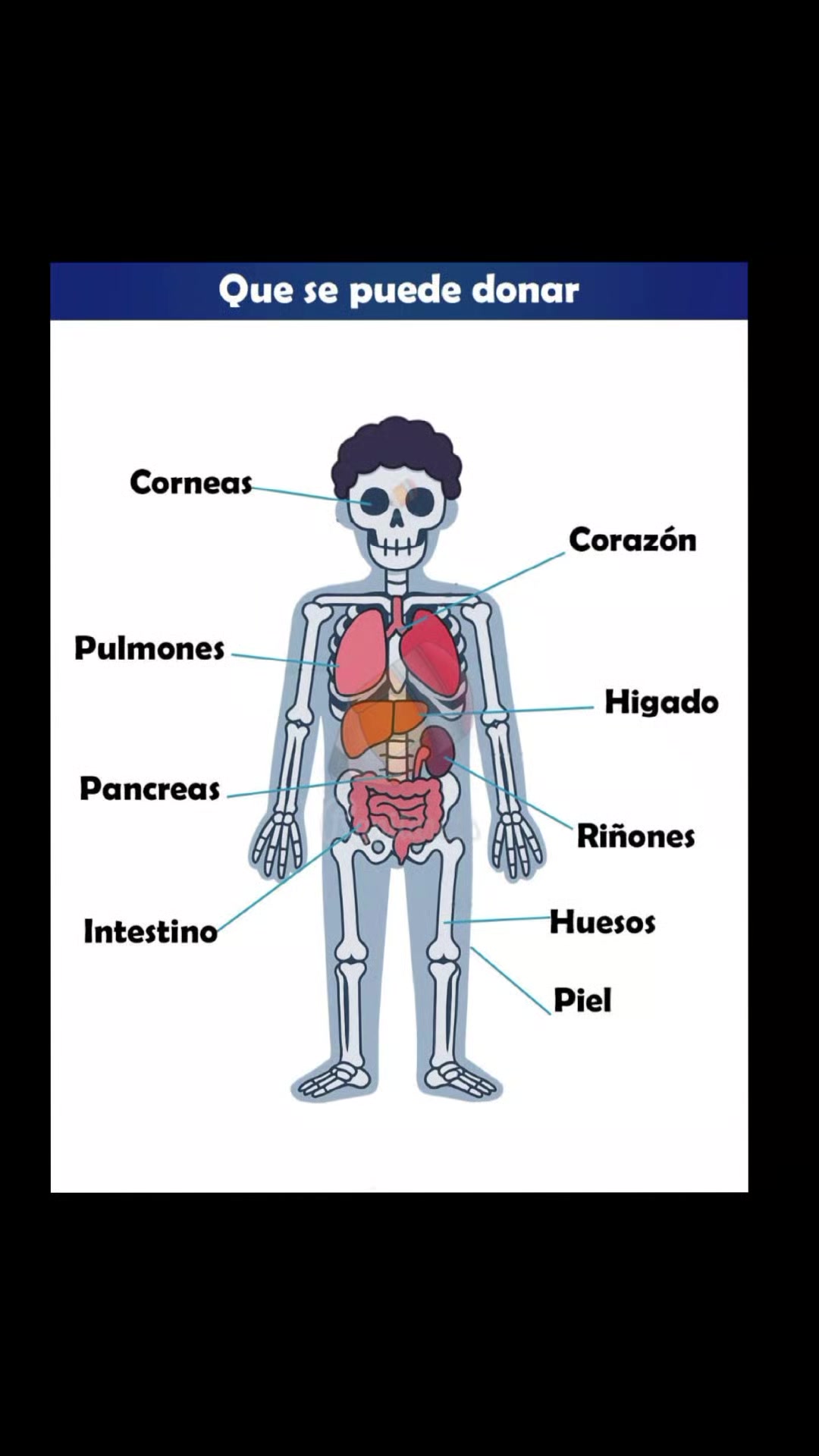 @APH CONTACTO VITAL