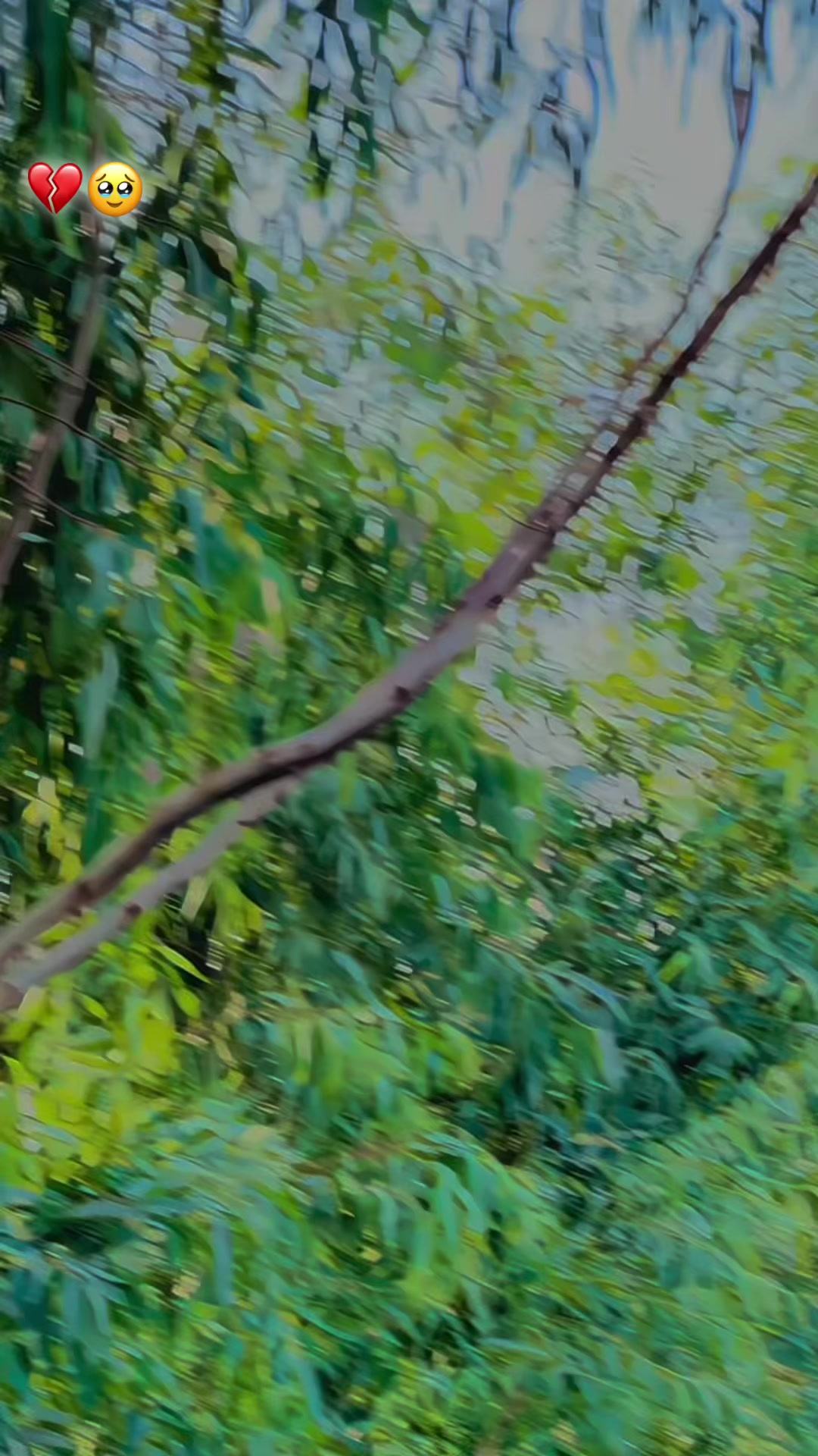 @🍂بشیرخان🍂