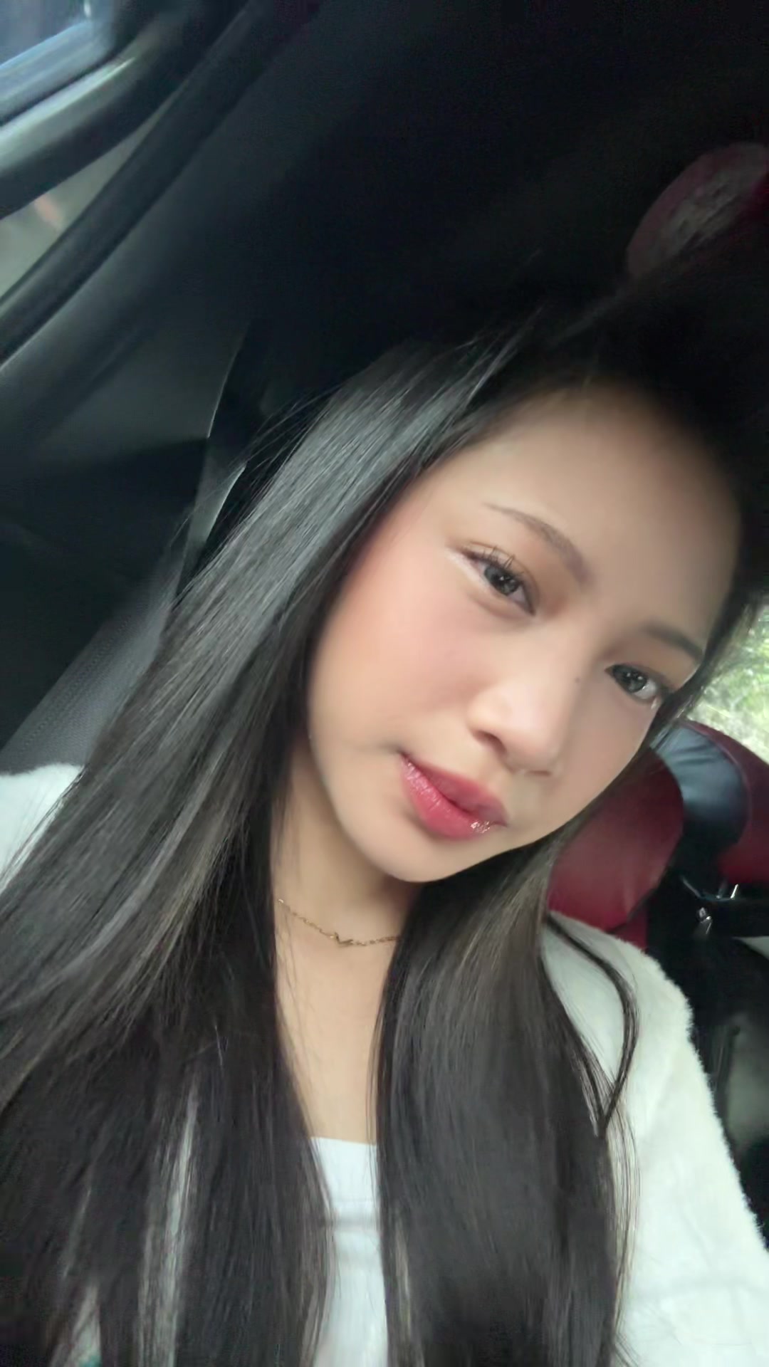 @ylevol