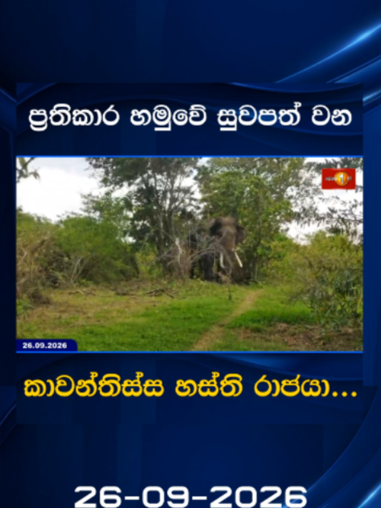 @Newsfirst Sri Lanka