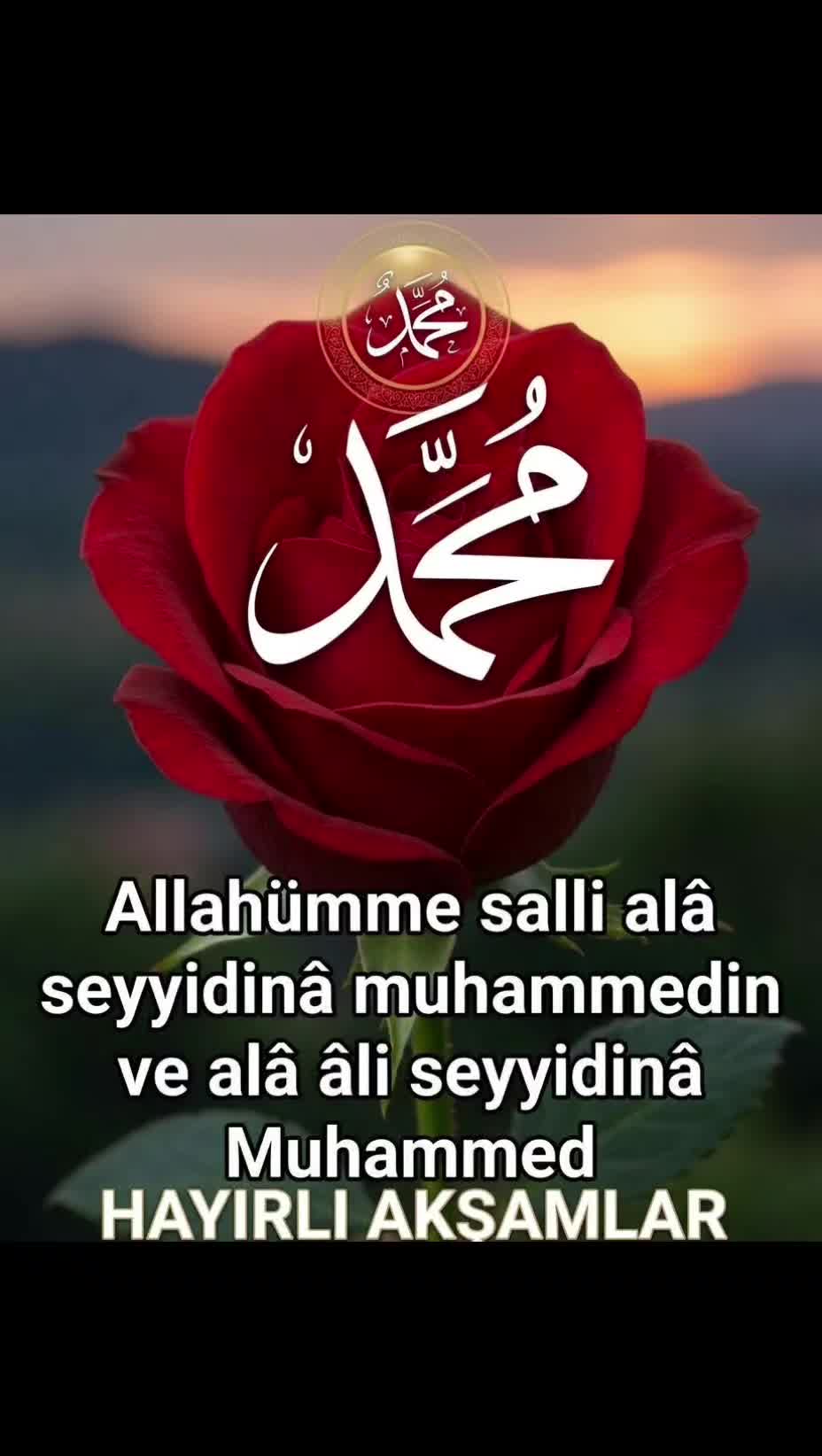 @MEVLÜT 0816