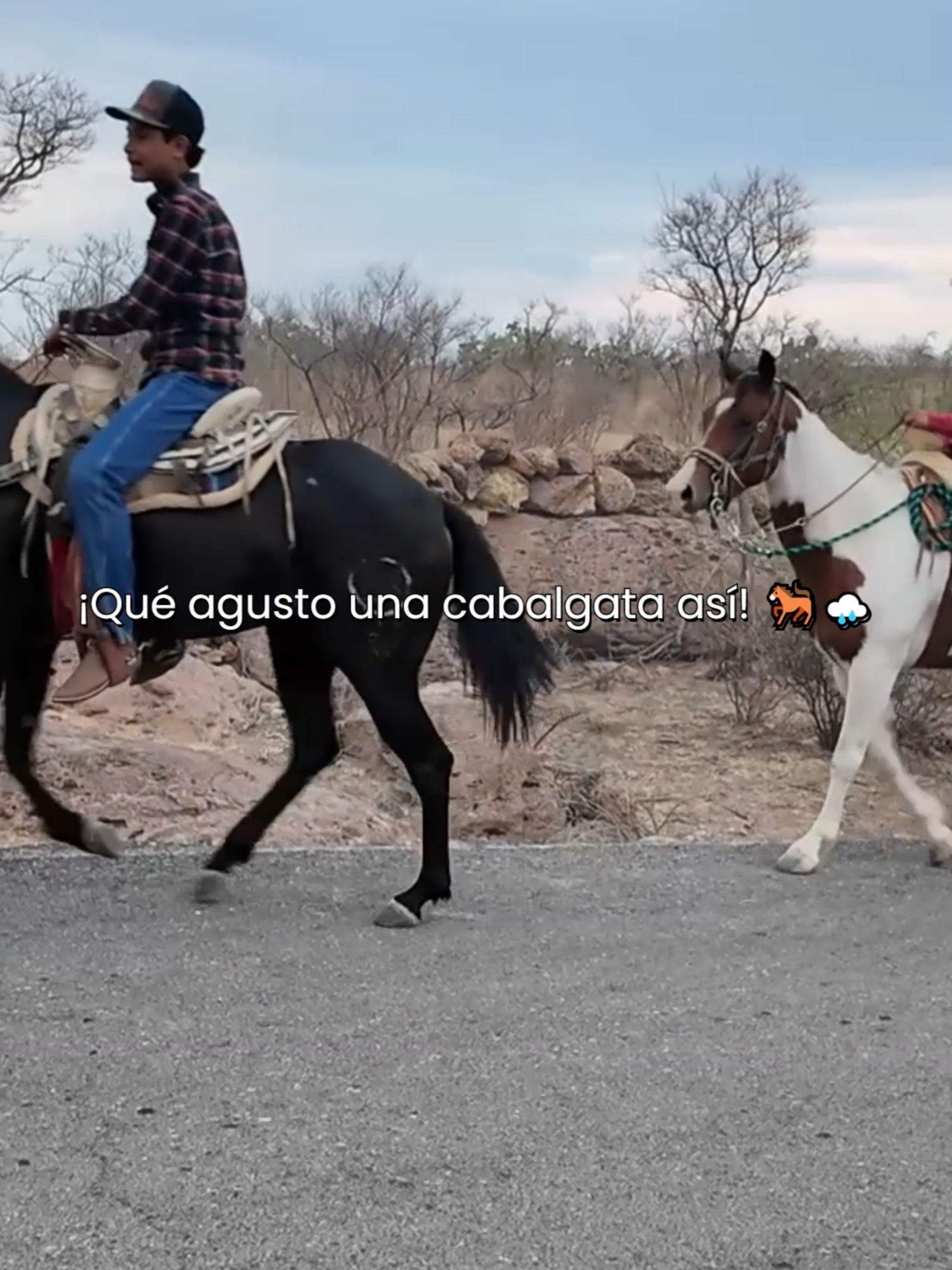 @renuevatv_zacatecas