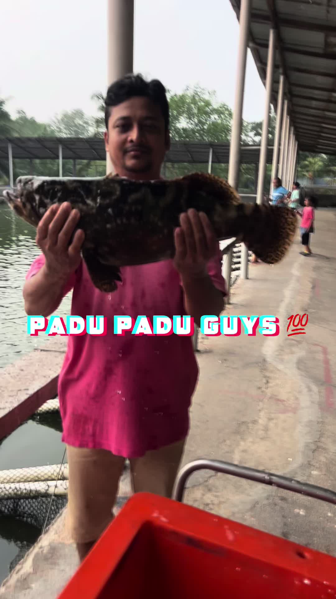 @M Z Reel 🎣