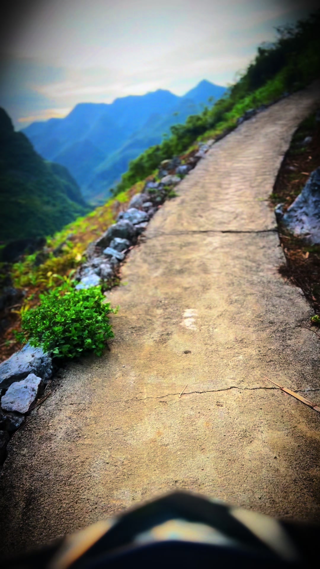 @L&Iacute;U  🇻🇳☣️
