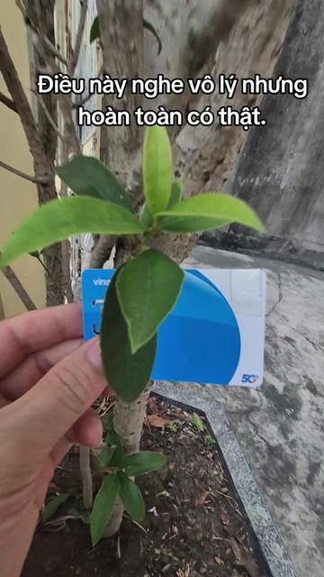 @Chọn Món Này
