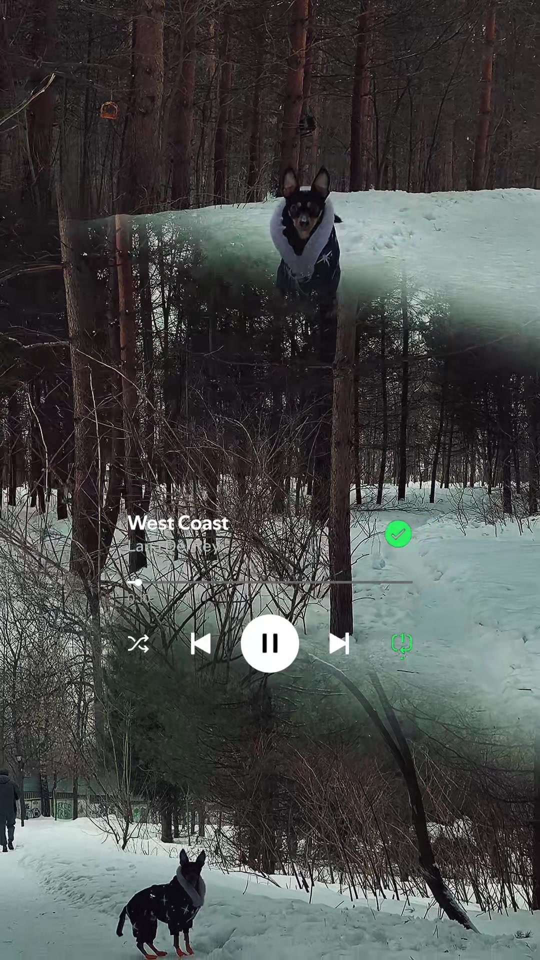 @Евгения