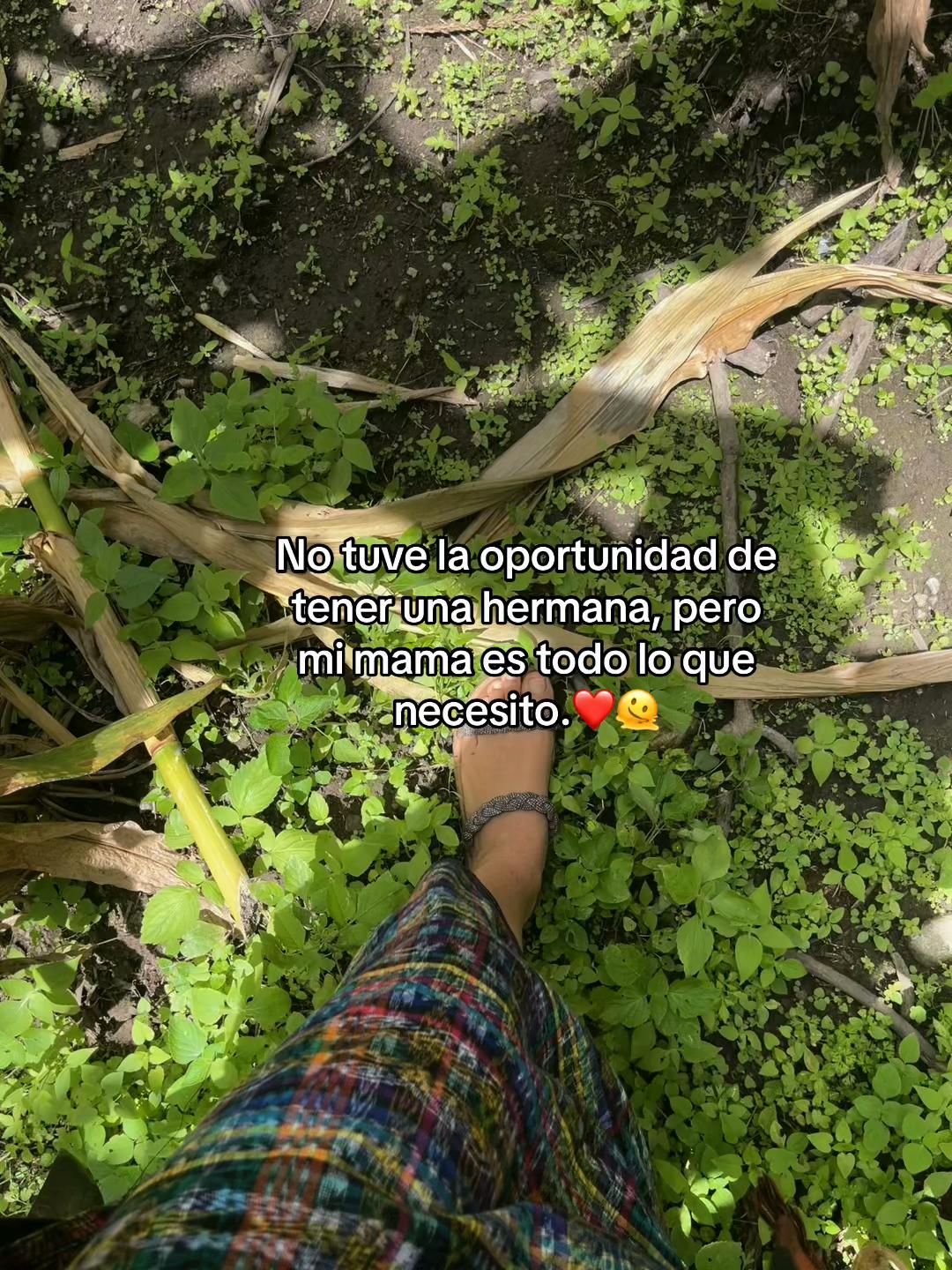 @🩶Gris Herrera🤍