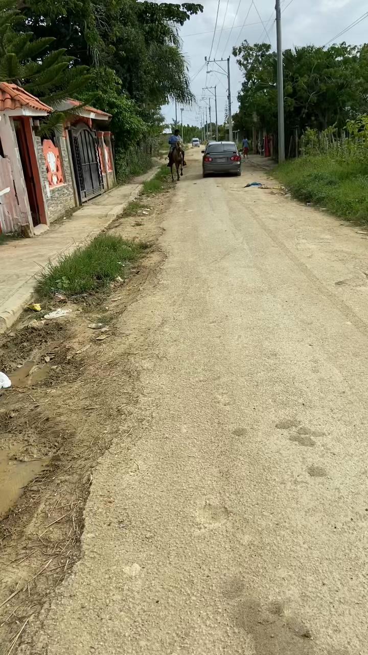 @El tal caballista ese 🤠