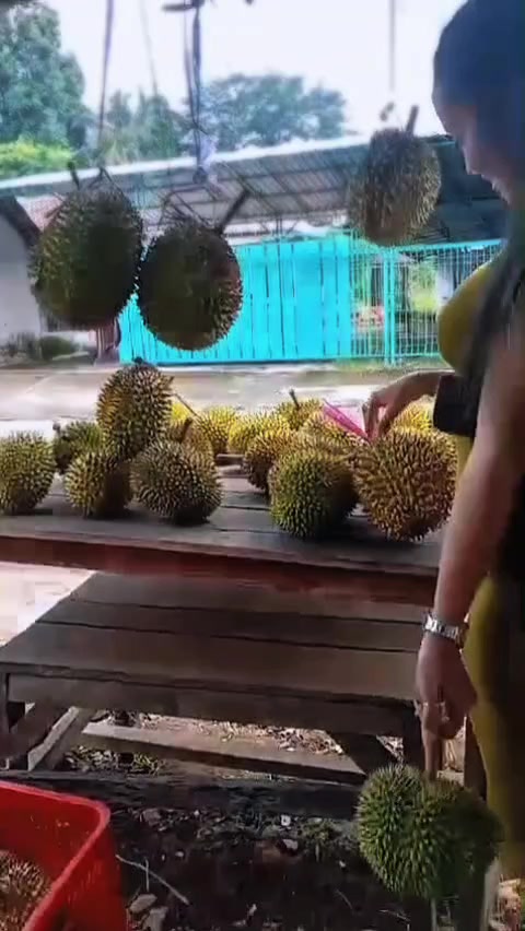 @Balioriginal