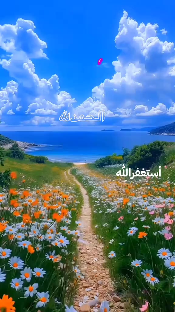 @👑HANEEN🦅