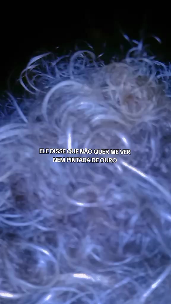 @🔺 Araucária do Norte🔺