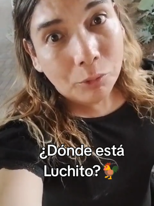 @Víctor Hugo Robles