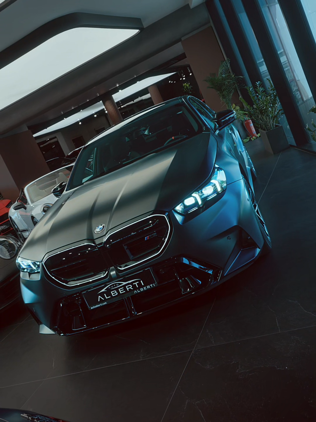@autosallonialberti