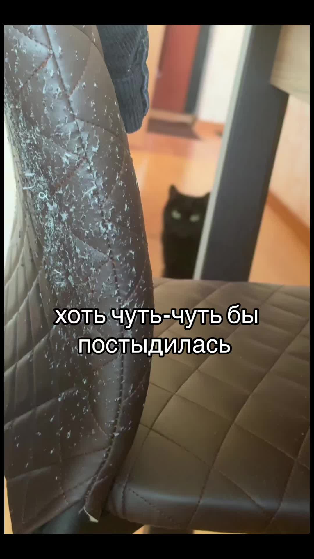 @Аля🐕