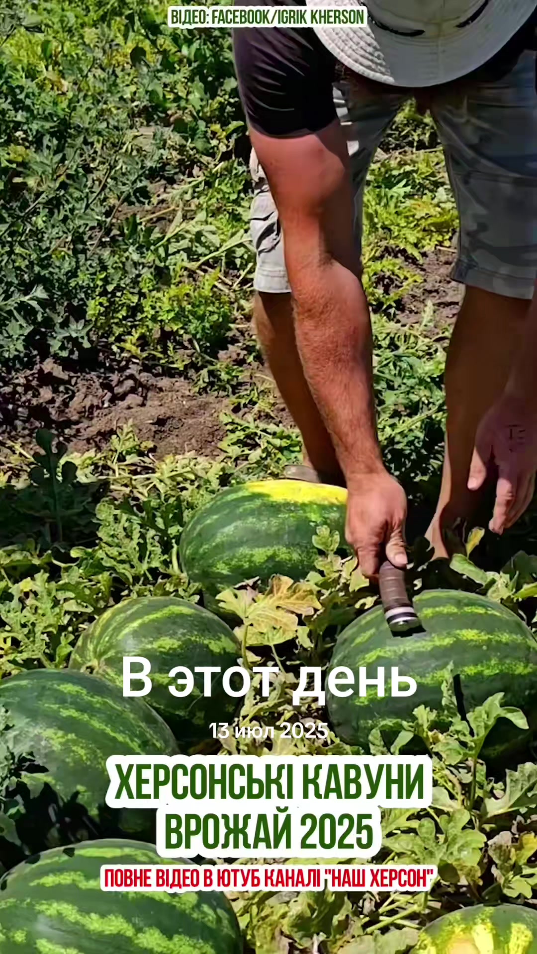 @Igrik