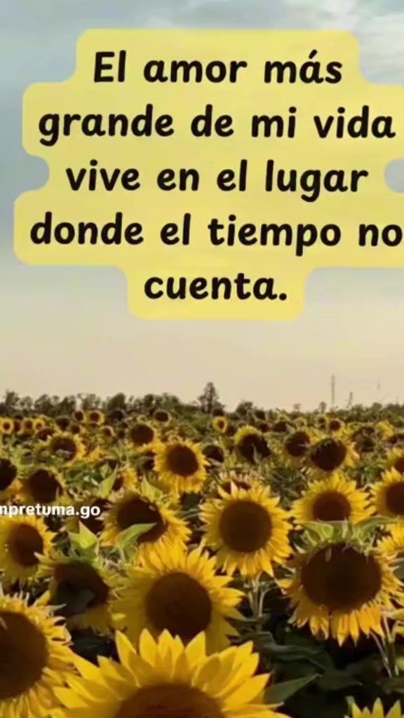 @jepy❤️