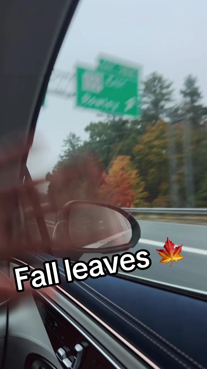 @NoBunnyButMe