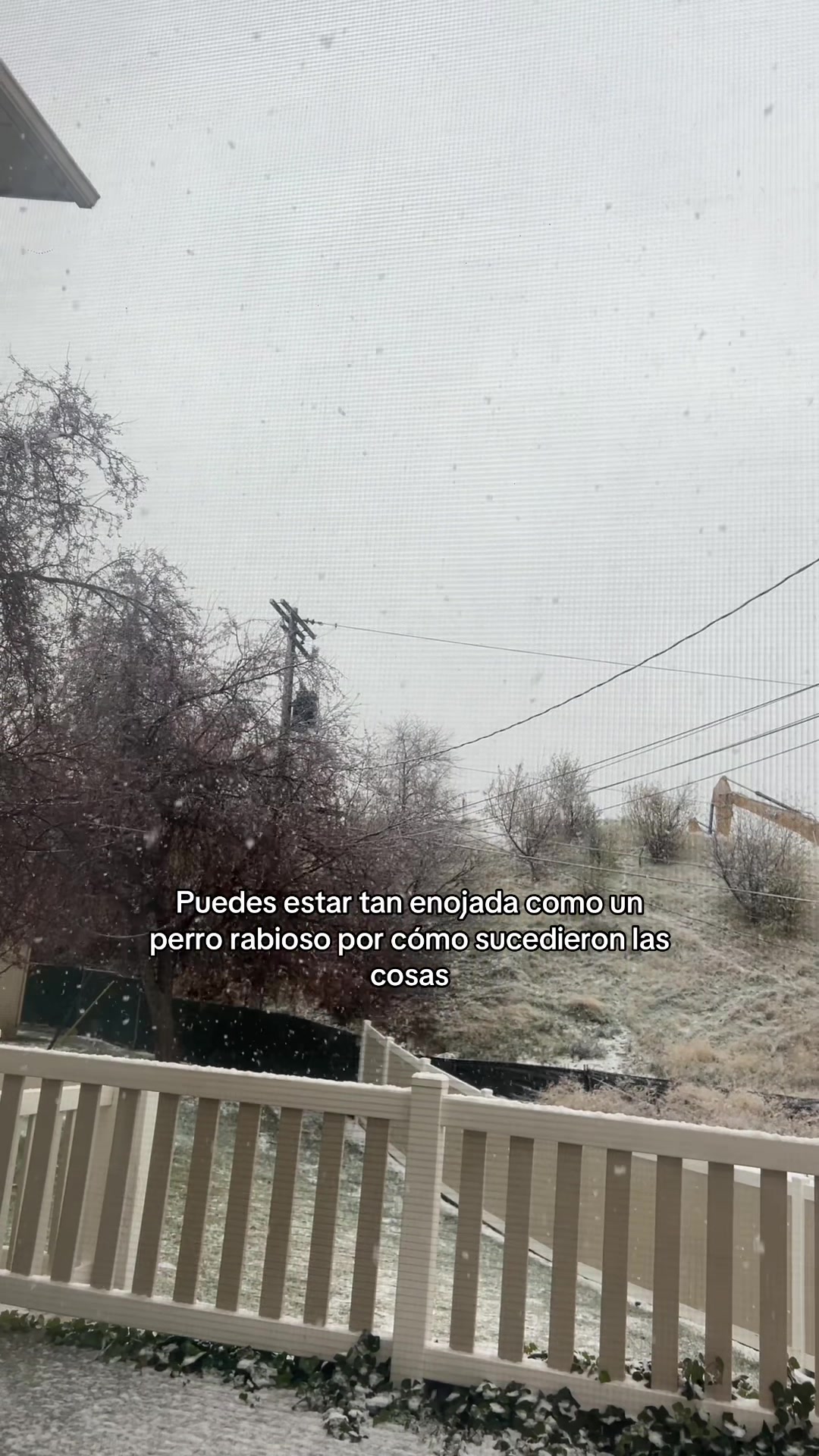 @Angie Alava