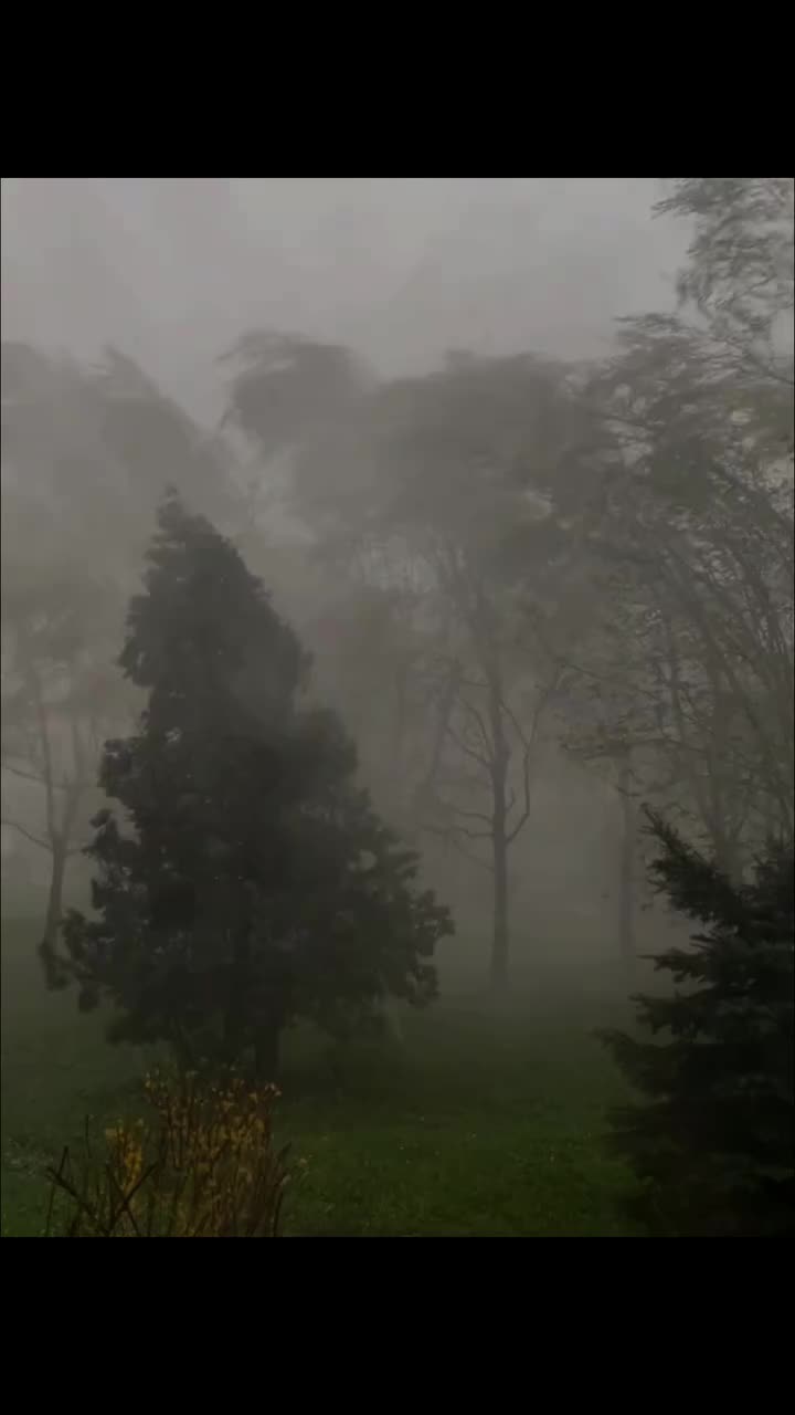 @B7F乛حسيب