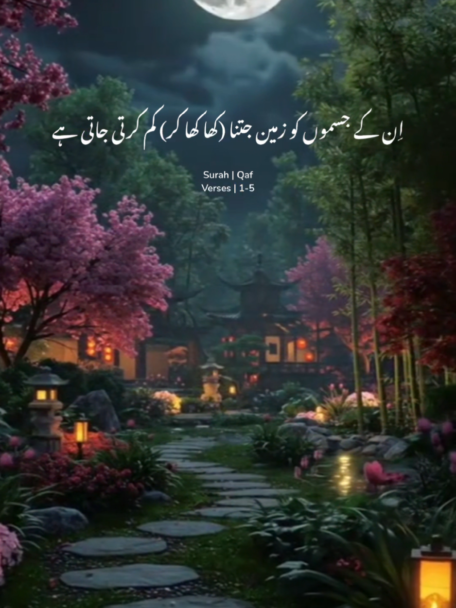 @Jannat Navid