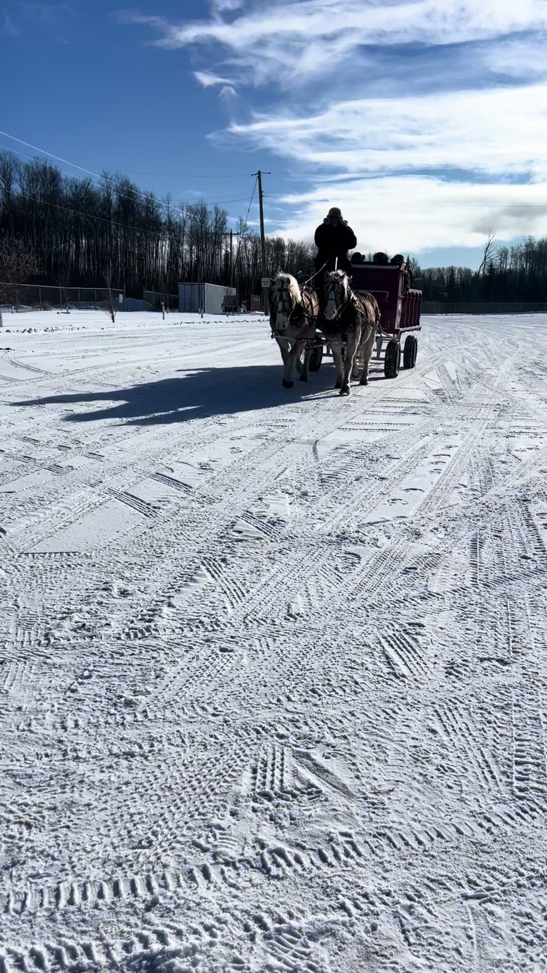 @Pigeon Lake Horse Drawn 🇨🇦
