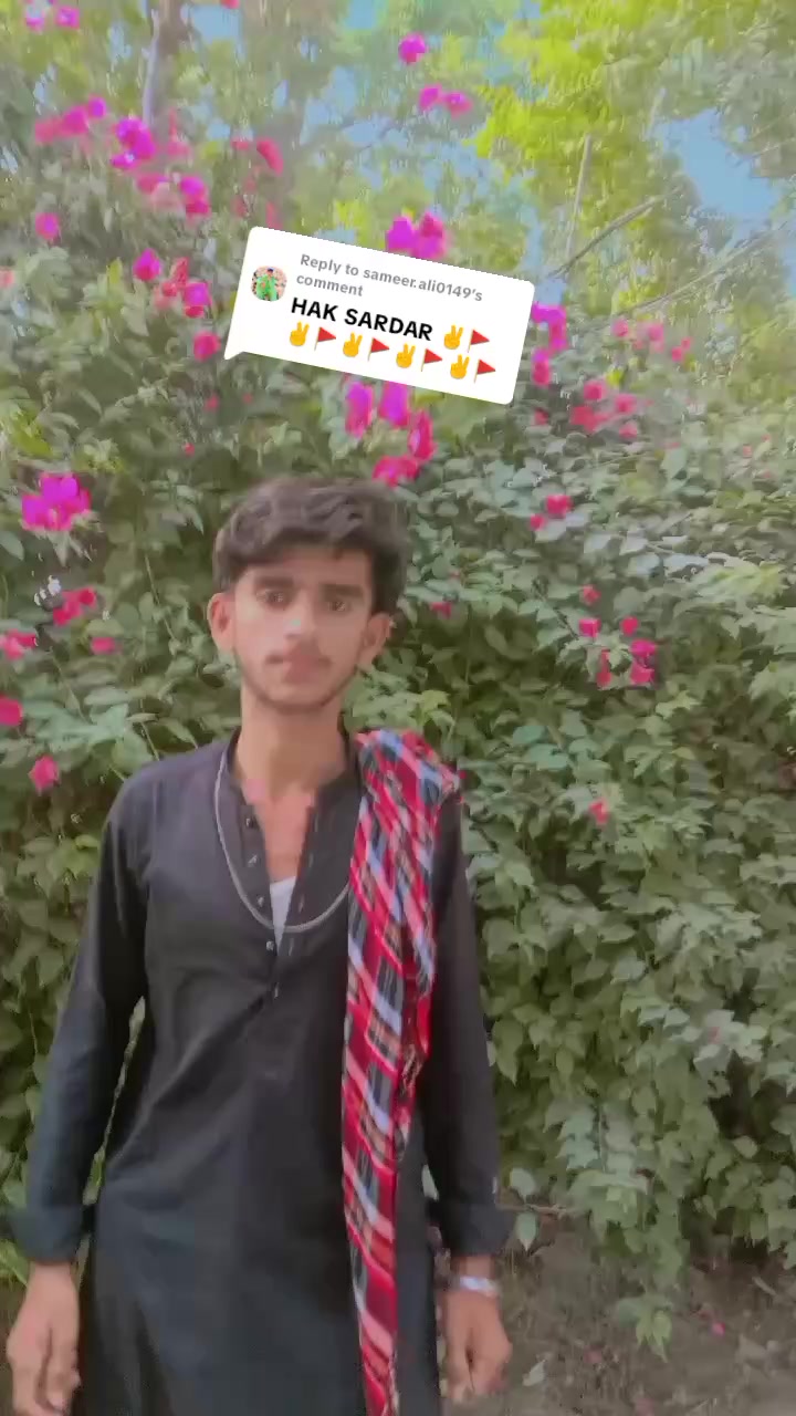 @w d king