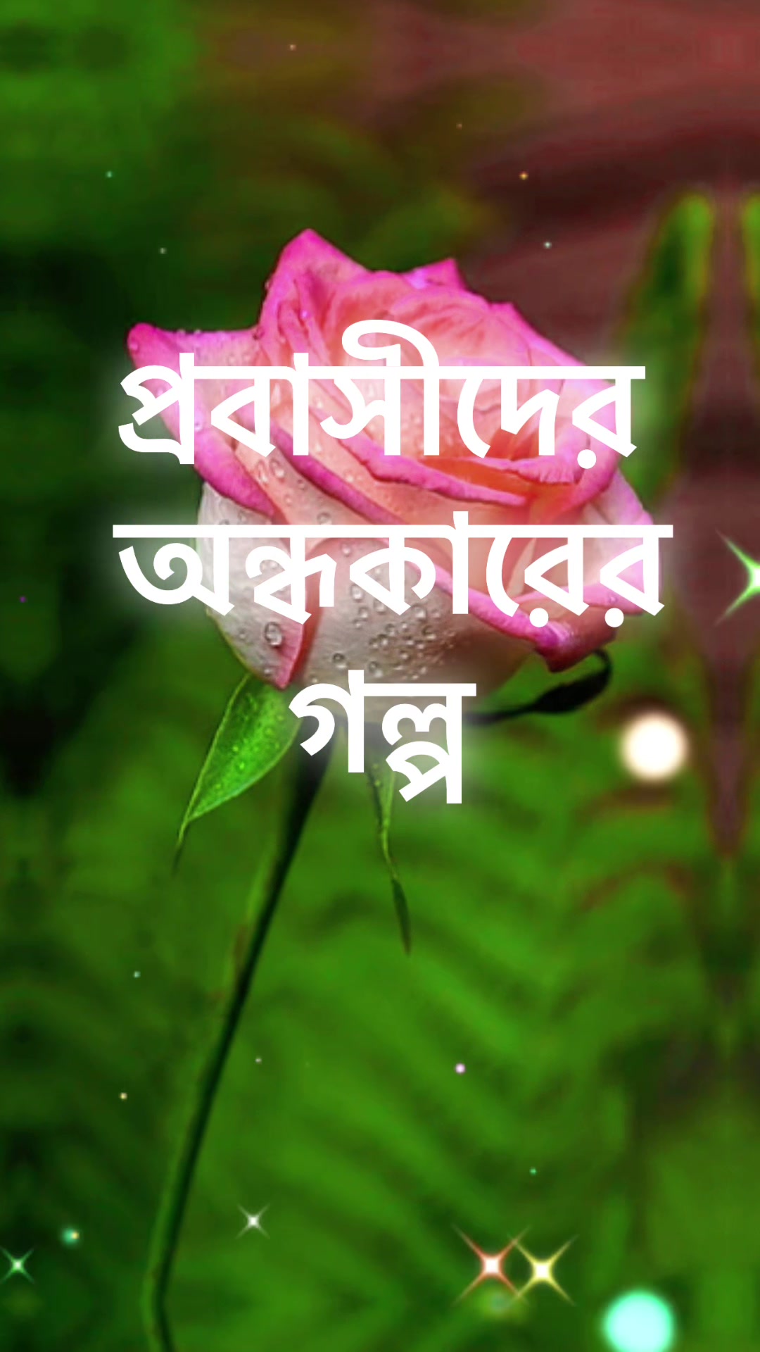 @Saikul islam