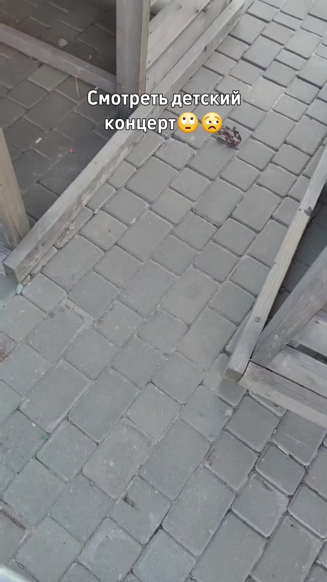 @Голубь мира