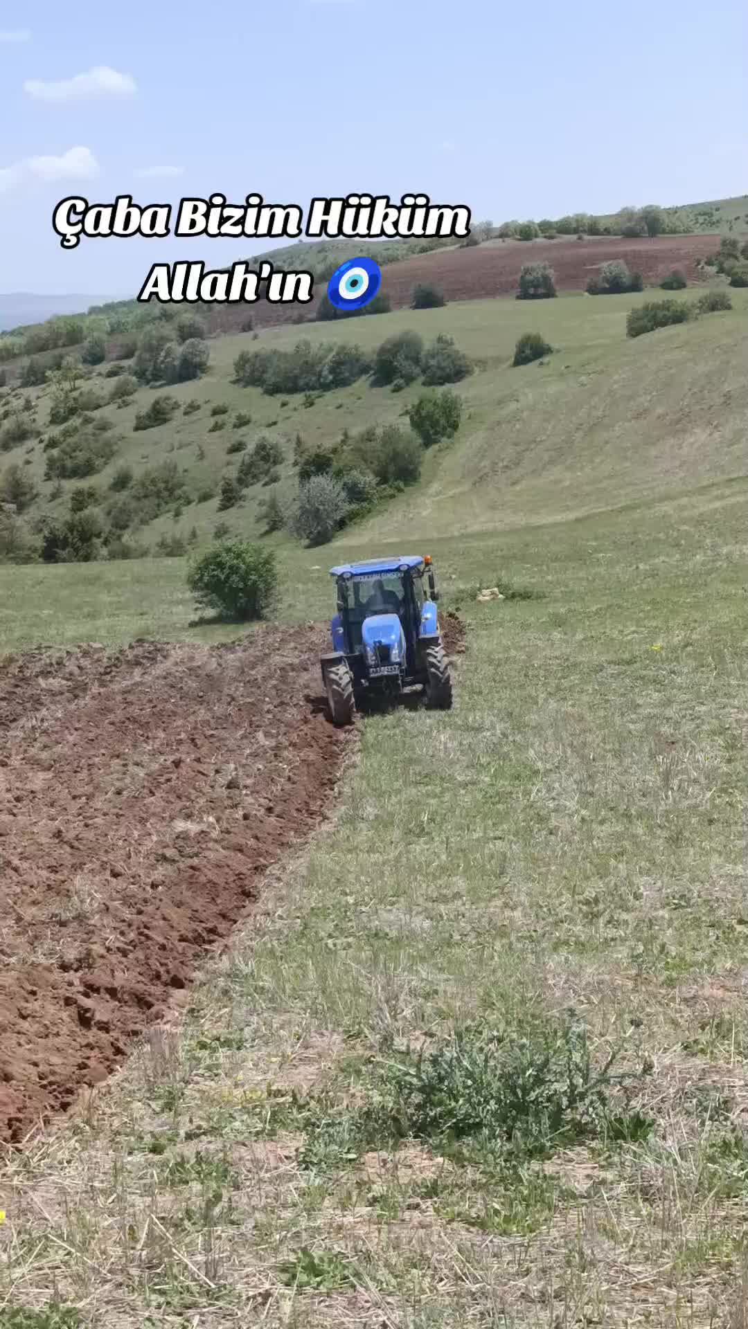@simsek0666