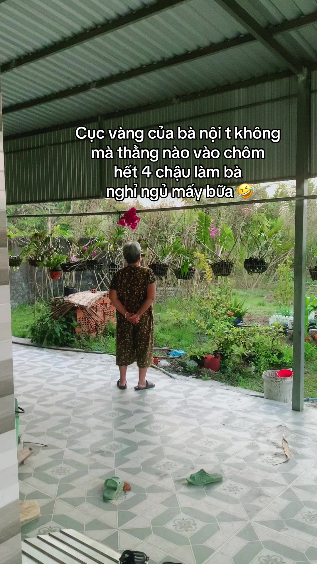 @Ngọc Hân