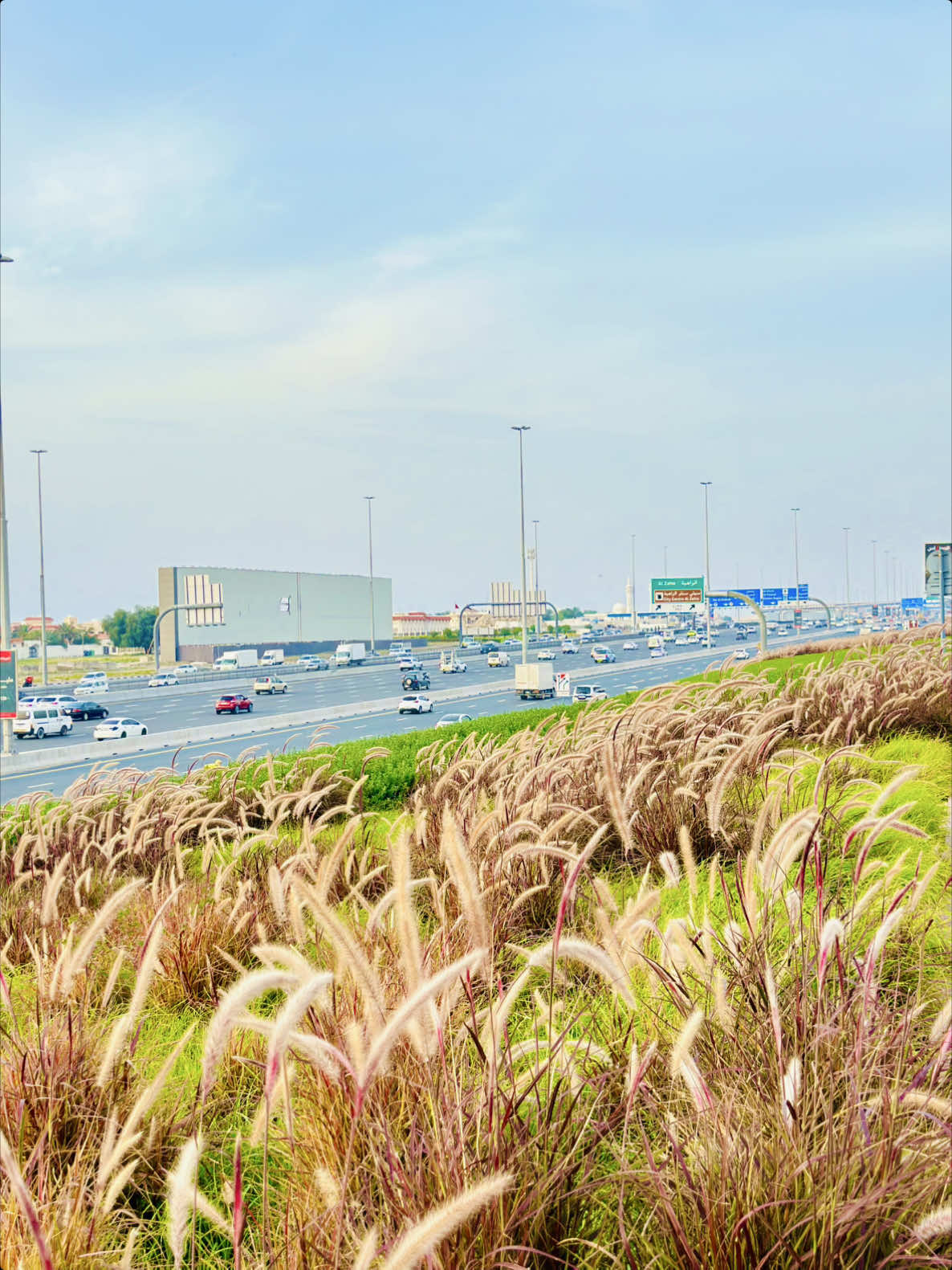 @thehammadgillani