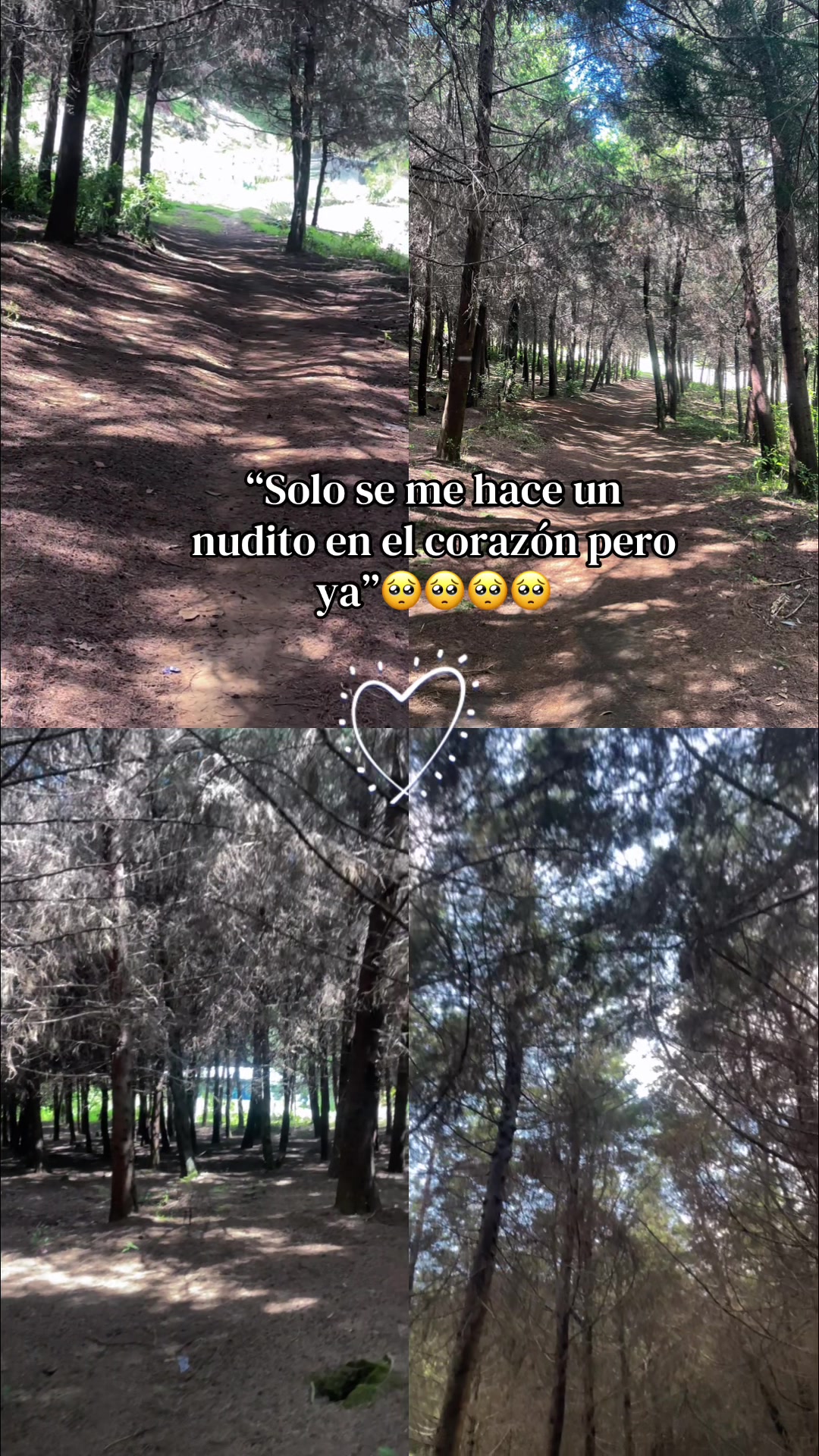 @chica06panda