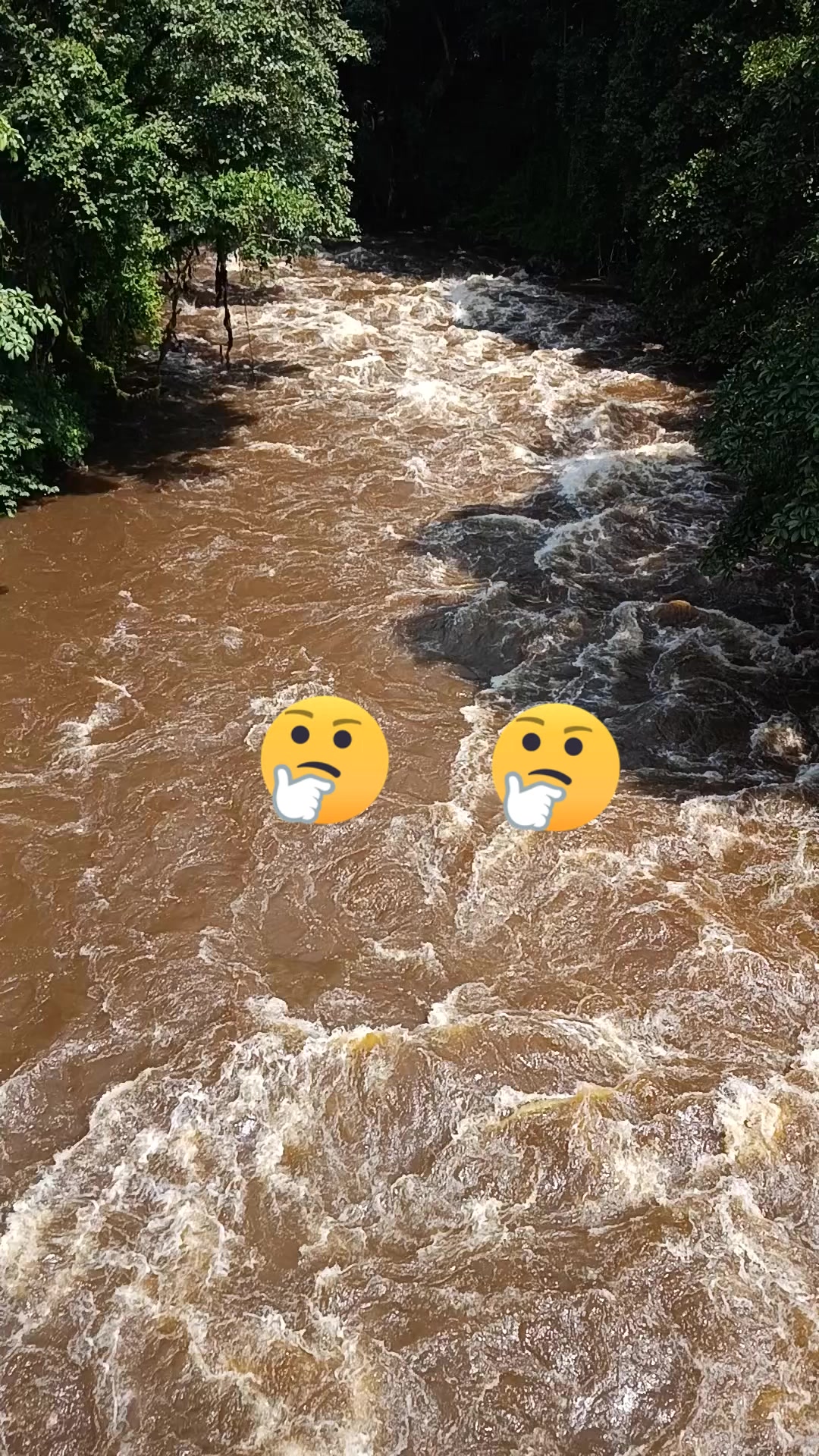 @Ridu🎺 Bula