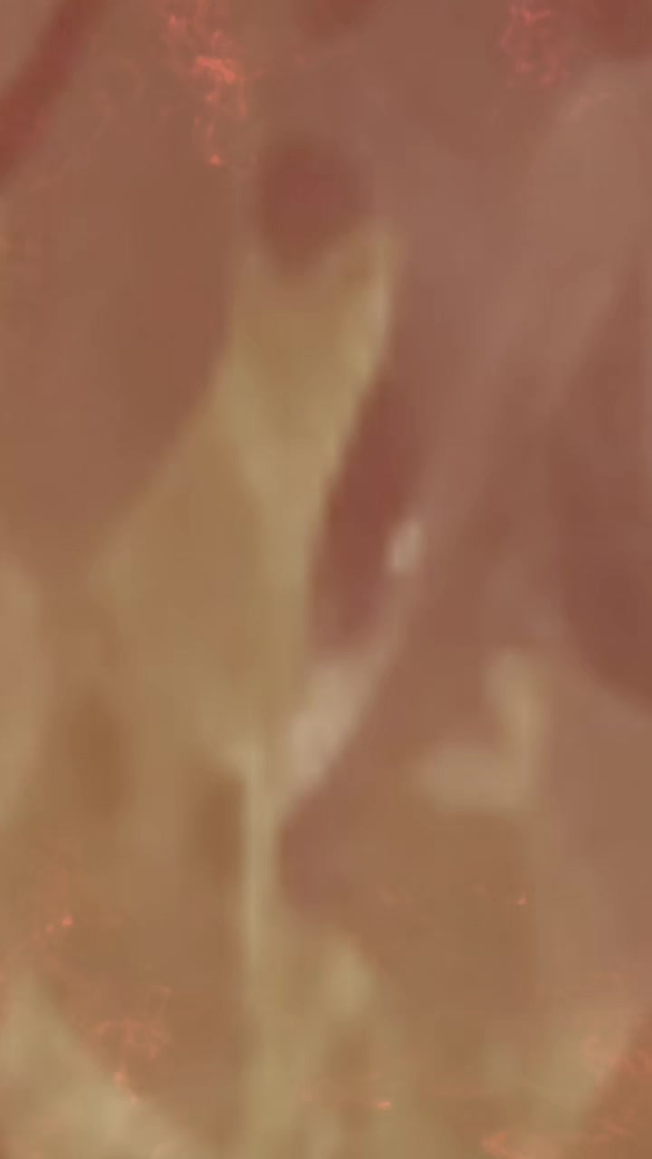 @🤍𝓟. 𝓟𝓻𝓭𝓪.. 🤍