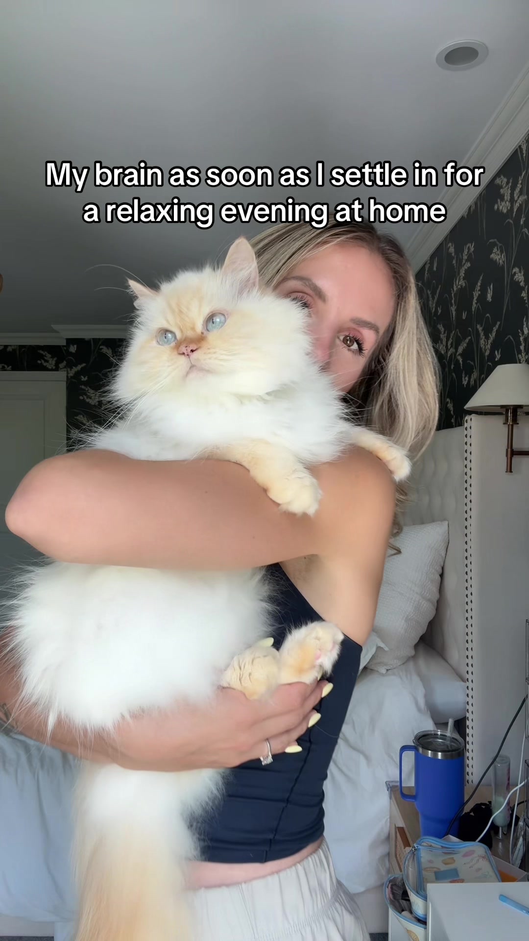 @Krista & Cats: BamBam & Bonnie